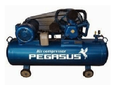 MÁY NÉN KHÍ DÂY ĐAI PEGASUS TM-W-2.0/8-500L