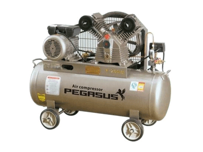 Máy nén khí piston PEGASUS TM-V-0.25/8-180L